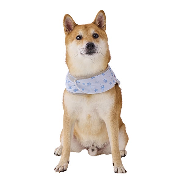 25%OFF！ひんやり特集】犬用ウェア Let's walk お散歩用 ひんやり