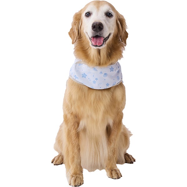 いぬさん専用 犬用ウェア Let's walk お散歩用 ひんやりポンチョ L | ペティオ