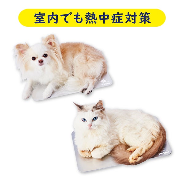 犬猫用マット クールアルミシートHNB M | ペティオ オンライン