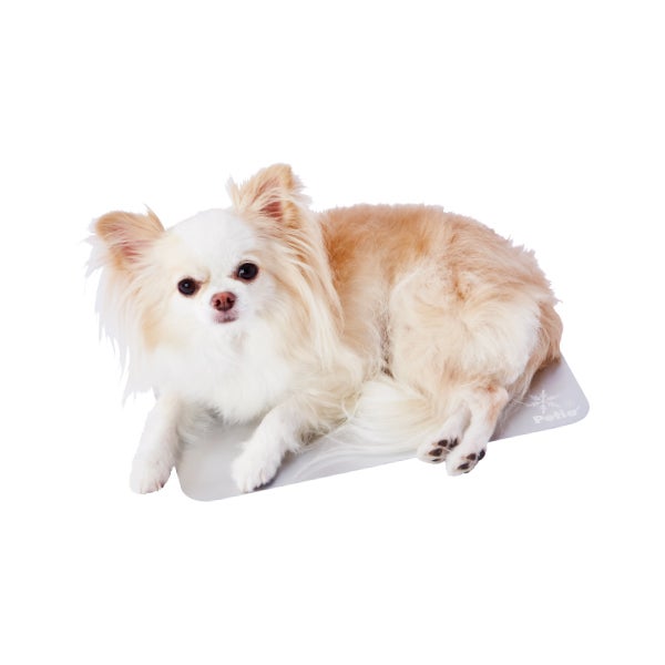 10%OFF！ひんやり特集】犬猫用マット クールアルミシートHNB M【会員様