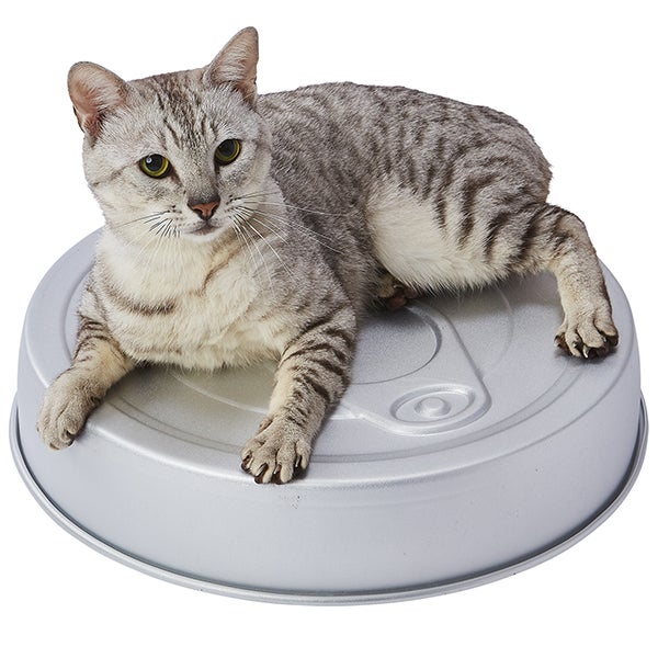 猫用ベッド ひんやり両面使えるアルミねこ缶HNB | ペティオ オンライン