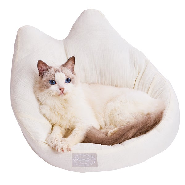 10%OFF！ひんやり特集】猫用ベッド ひんやりくつろぎベッド フチ付
