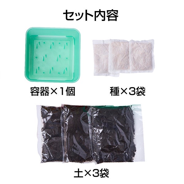 10%OFF！スーパーSALE】犬猫用 猫の元気草 お徳用3回分【会員様限定