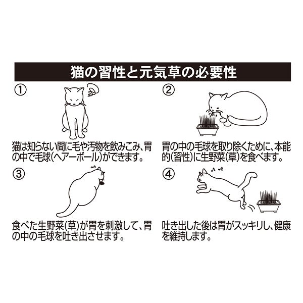 10%OFF！スーパーSALE】犬猫用 猫の元気草 お徳用3回分【会員様限定