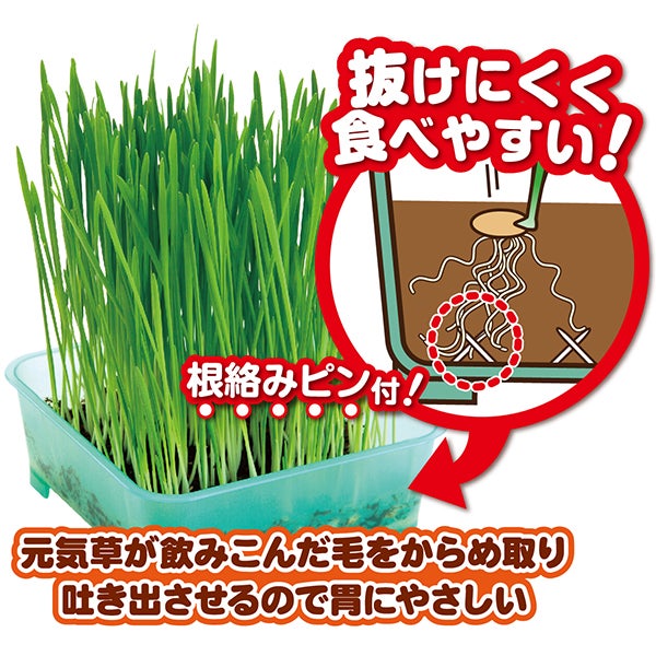 犬猫用 猫の元気草 超お徳用5回分 | ペティオ オンライン ショップ本店