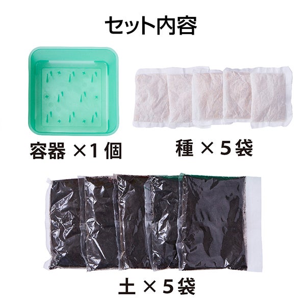 犬猫用 猫の元気草 超お徳用5回分 | ペティオ オンライン ショップ本店
