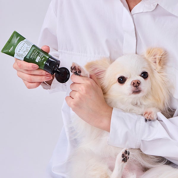 10%OFF！スーパーSALE】犬猫用足裏ケア剤 肉球ぷるぷるジェリー 50g