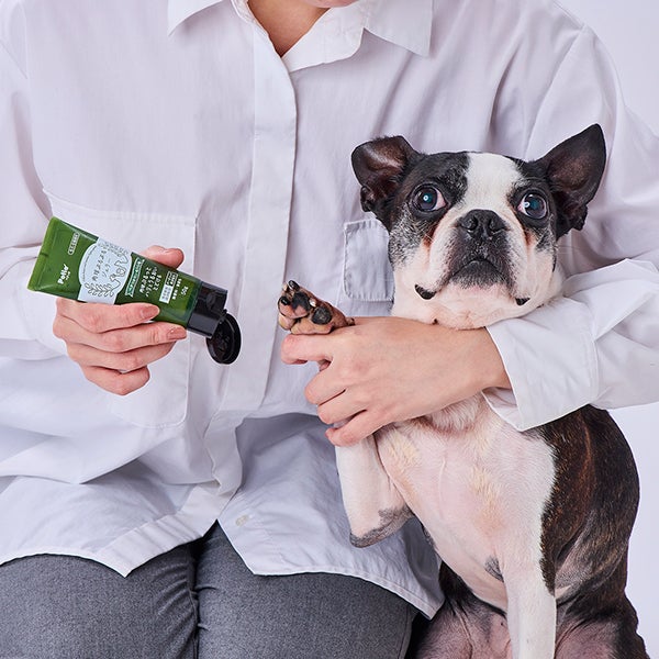 10%OFF！スーパーSALE】犬猫用足裏ケア剤 肉球ぷるぷるジェリー 50g