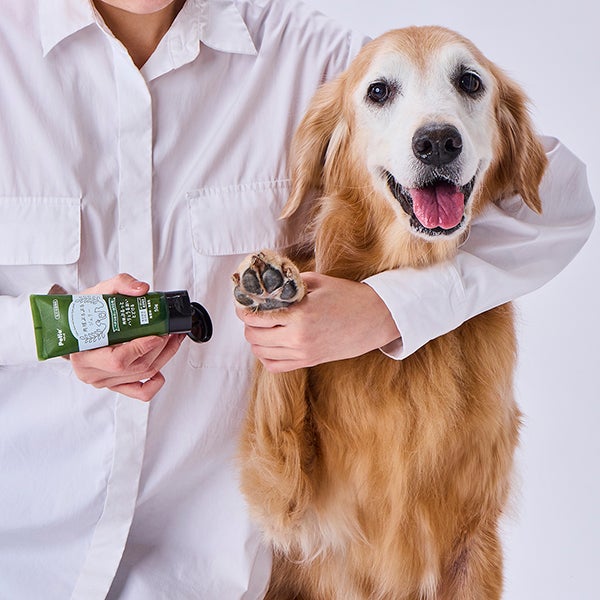 10%OFF！スーパーSALE】犬猫用足裏ケア剤 肉球ぷるぷるジェリー 50g