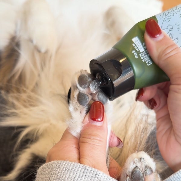 10%OFF！スーパーSALE】犬猫用足裏ケア剤 肉球ぷるぷるジェリー 50g