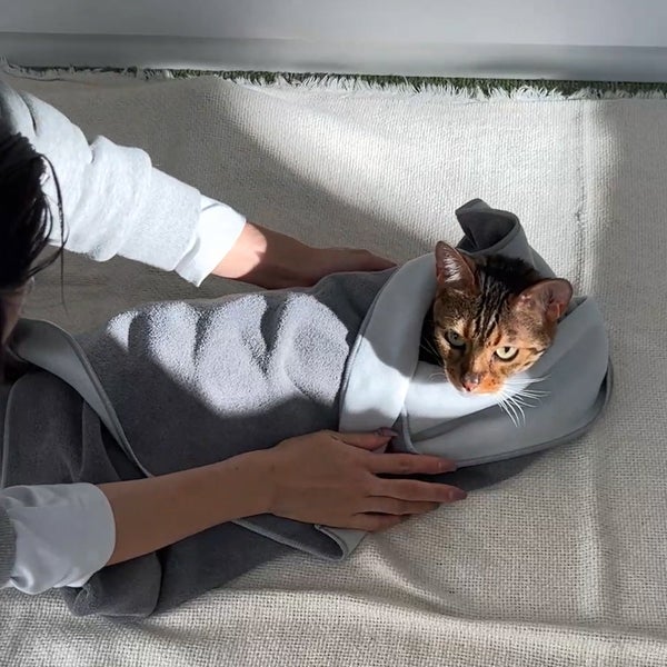 商品イメージ