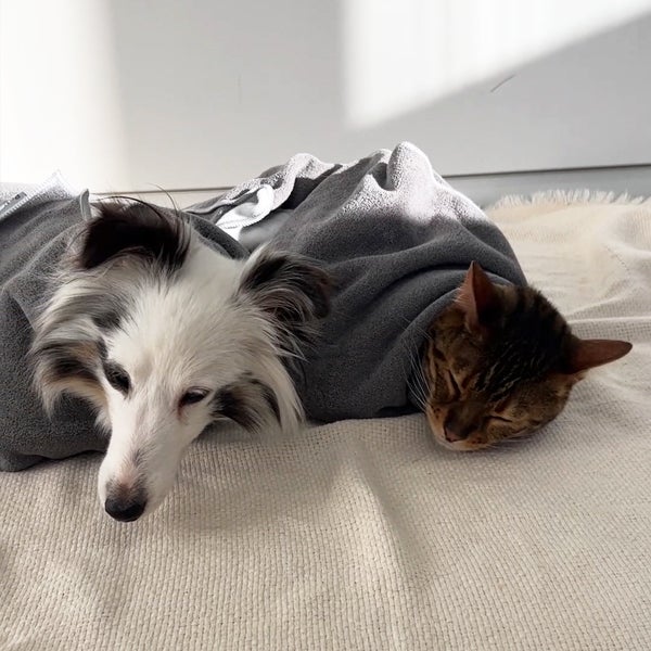犬猫用 FIXCARE 包んで保定し落ち着かせる マルチサポートクロス