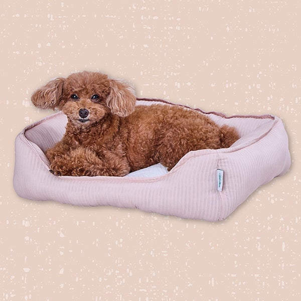 10%OFF！ひんやり特集】Add.Mate アドメイト 犬猫用ベッド Cuna