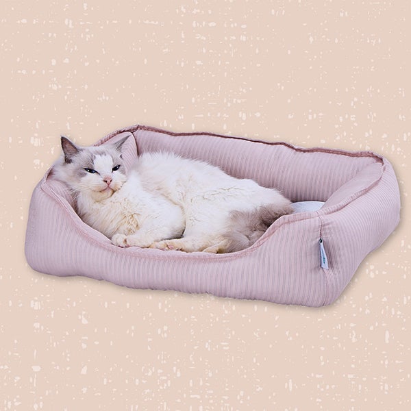 10%OFF！ひんやり特集】Add.Mate アドメイト 犬猫用ベッド Cuna