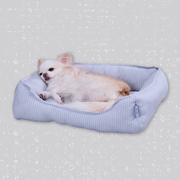 Add.Mate アドメイト 犬猫用ベッド Cuna ひんやりボリュームスクエア