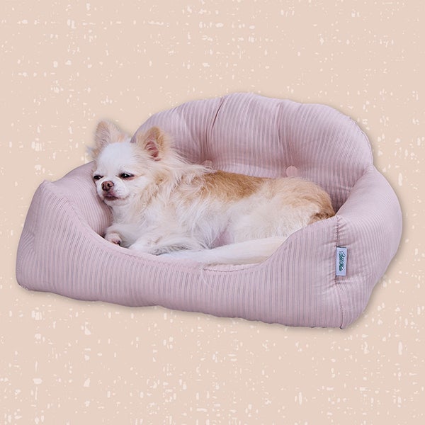 Add.Mate アドメイト 犬猫用ベッド Cuna ひんやりカドラーソファー