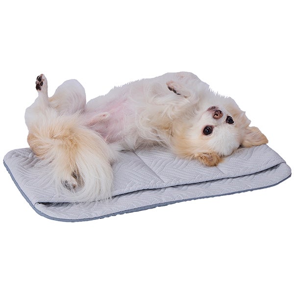 Add.Mate アドメイト 犬猫用マット spiccato ポケット付 Cool お出かけ