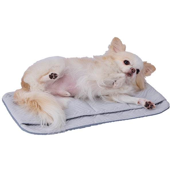 10%OFF！ひんやり特集】Add.Mate アドメイト 犬猫用マット spiccato