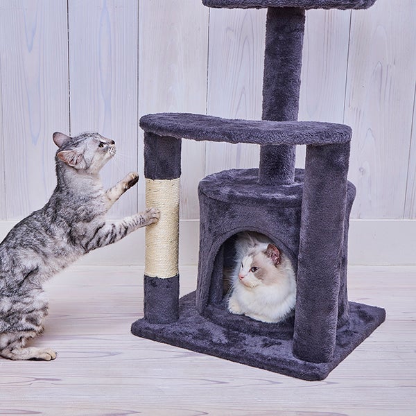 Add.Mate アドメイト 猫用タワー ねこまど コテリア ロータワー