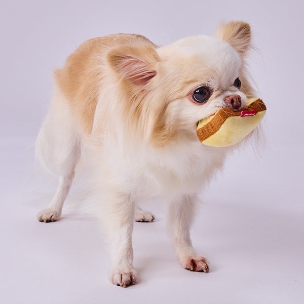 犬用おもちゃ もちもちパン屋さん mini セットボックス | ペティオ