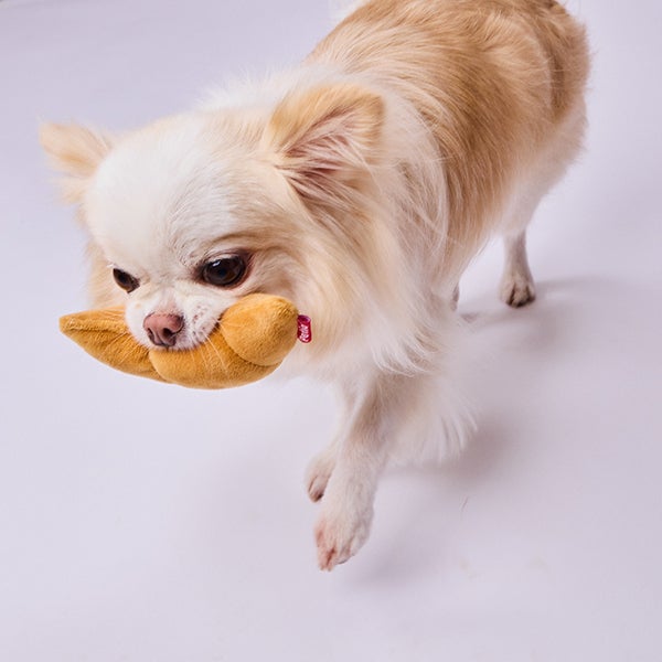 犬用おもちゃ もちもちパン屋さん mini セットボックス | ペティオ