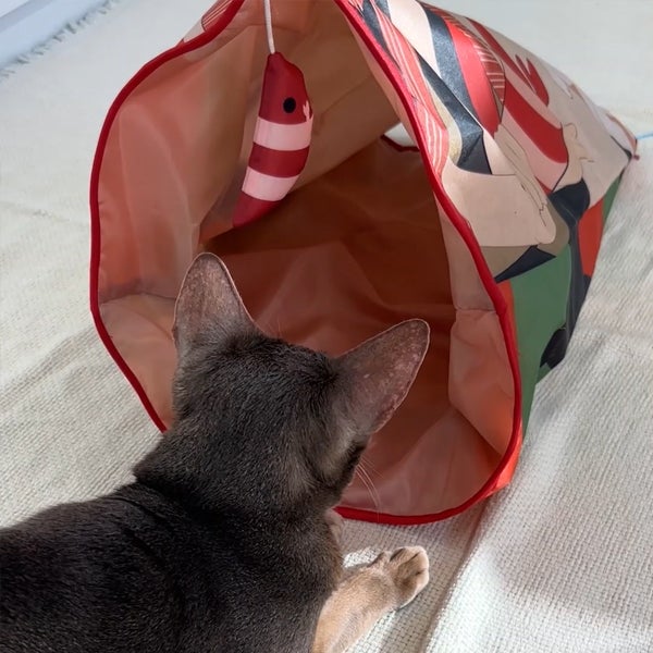 商品イメージ