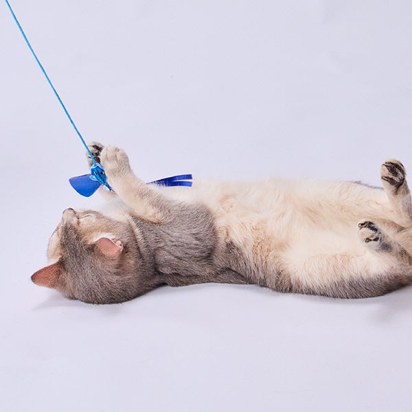 15%OFF！スーパーSALE】猫用おもちゃ 大好きブルーのカシャカシャ