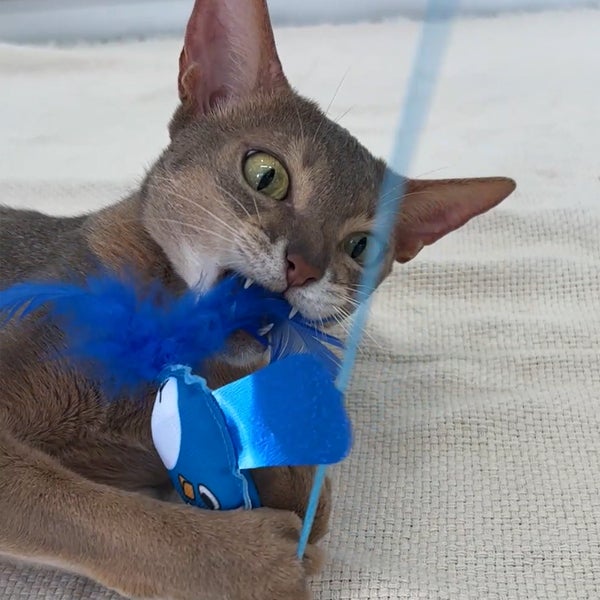 猫用おもちゃ 大好きブルーのカシャカシャ猫じゃらし 幸せの青い鳥