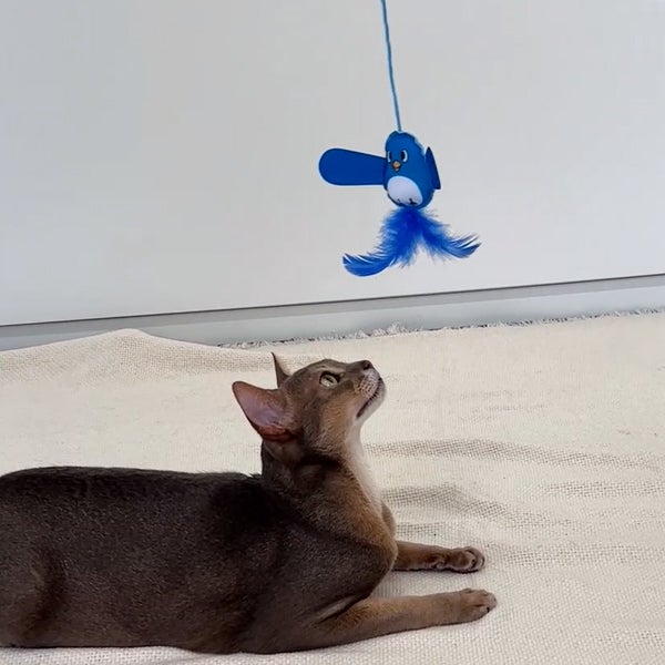 猫用おもちゃ 大好きブルーのカシャカシャ猫じゃらし 幸せの青い鳥
