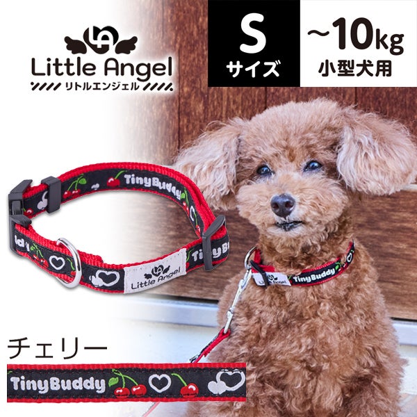 小型犬用　首輪　BAND OF HEARTBREAKERS 犬用首輪 Little Angel チェリー カラー S | ペティオ オンライン