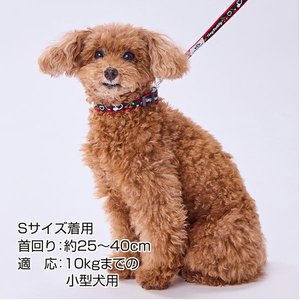 犬用首輪 Little Angel フラワー カラー S | ペティオ オンライン