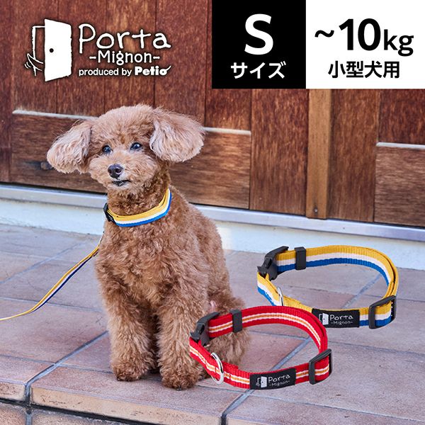 犬用首輪 Porta Mignon ストライプ カラー S | ペティオ オンライン