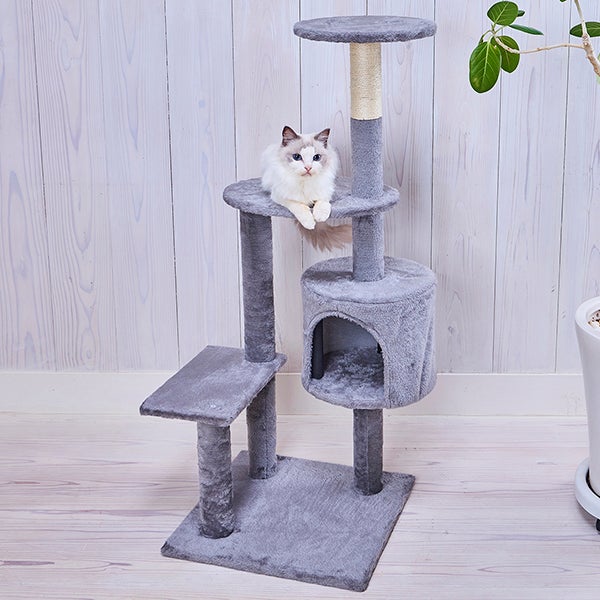猫 Add.Mate アドメイト 猫用タワー ねこまど コテリア ミドルハイタワー