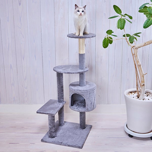 Add.Mate アドメイト 猫用タワー ねこまど コテリア ミドルハイタワー