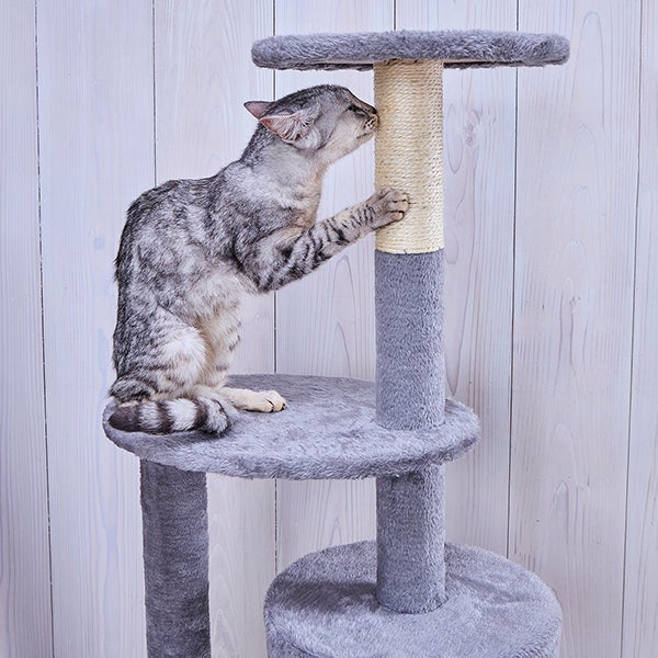 Add.Mate アドメイト 猫用タワー ねこまど コテリア ミドルハイタワー
