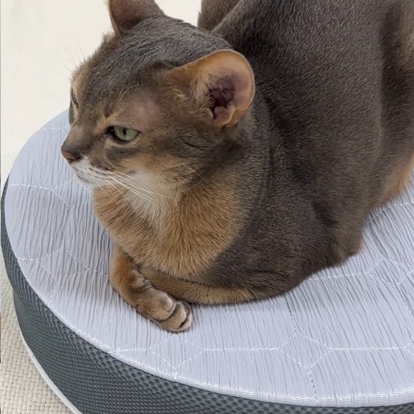 Add.Mate アドメイト 猫用マット ムレにくくて涼しい ひんやりまる