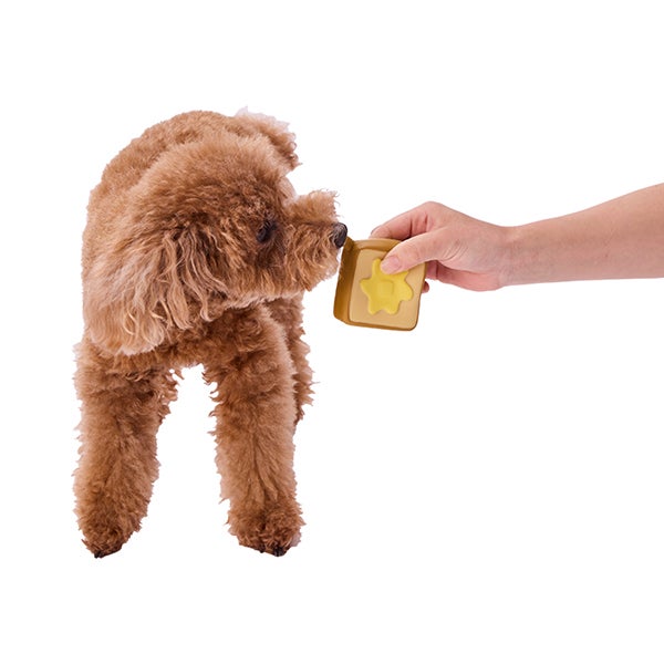 犬用おもちゃ もちもちパン屋さん ロープ付ラテックス 食パン