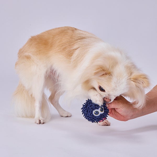 15%OFF！スーパーSALE】犬用おもちゃ モコモコシャカシャカボール
