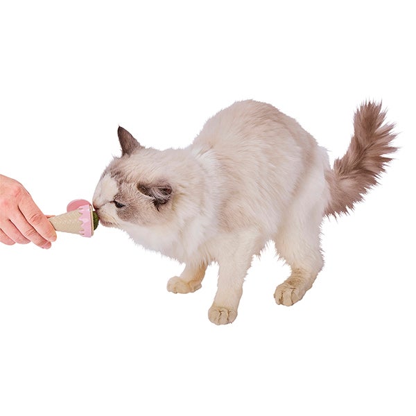 15%OFF！スーパーSALE】猫用おもちゃ ぺろぺろキャットニップTOY
