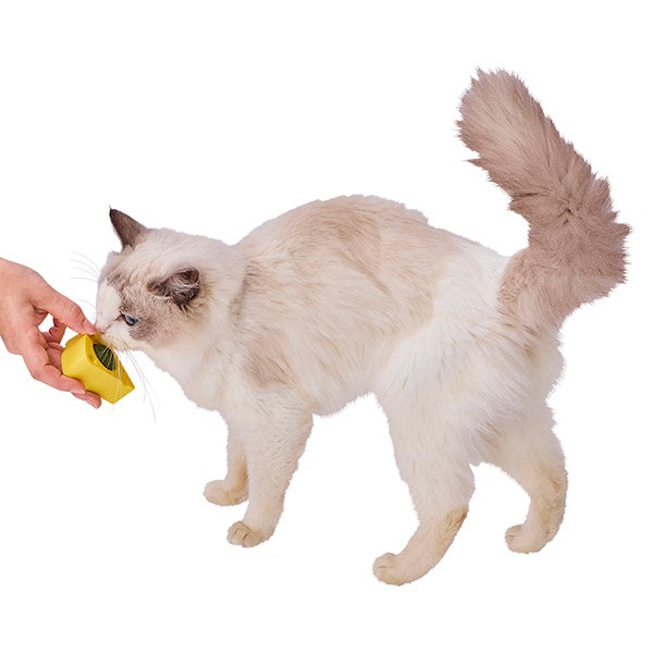 猫用おもちゃ ぺろぺろキャットニップTOY チーズ | ペティオ