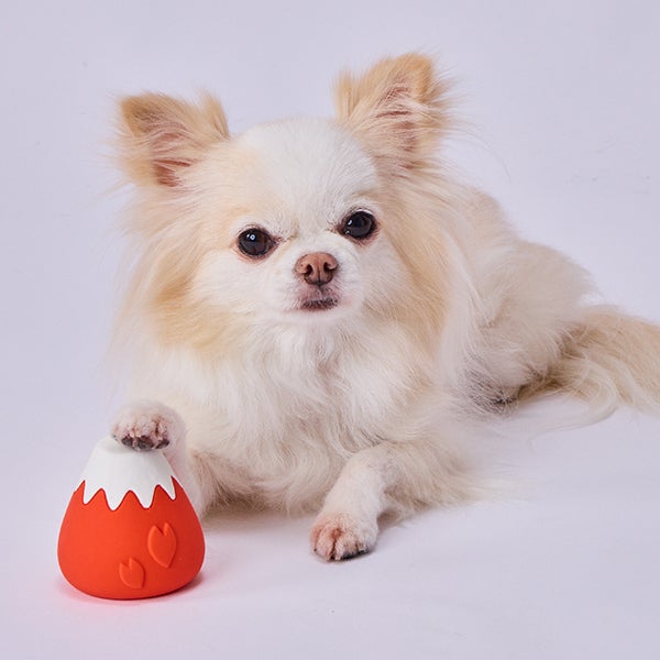 15%OFF！スーパーSALE】犬用おもちゃ 犬雅 富士山ラテックス 赤富士