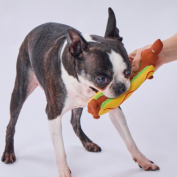 犬用おもちゃ ながーいラテックスTOY ホットドッグ | ペティオ