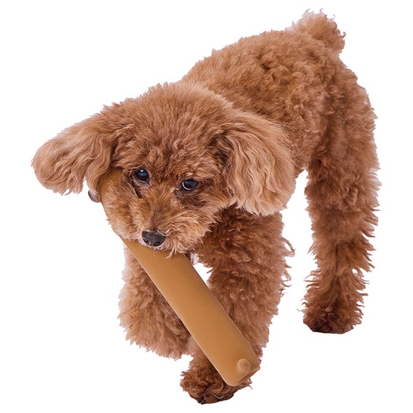 犬用おもちゃ ながーいラテックスTOY チョコドッグ | ペティオ