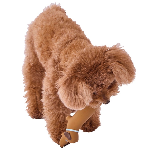 犬用おもちゃ ながーいラテックスTOY チョコドッグ | ペティオ