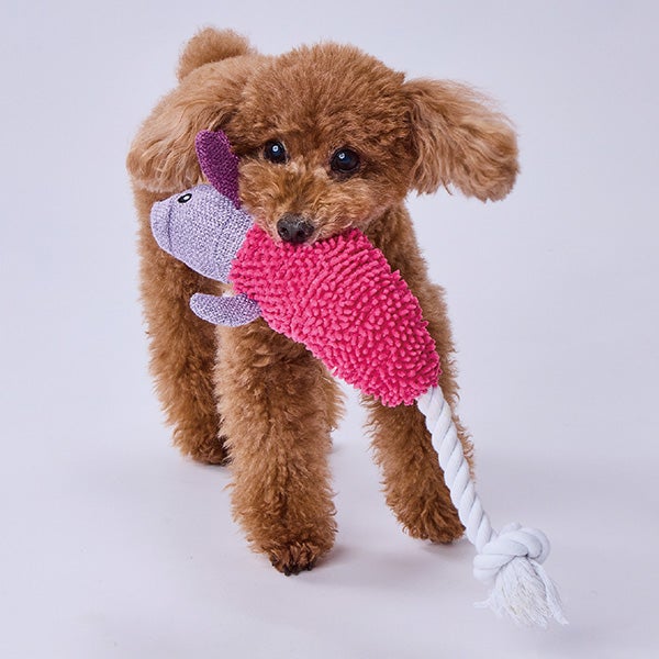 犬用おもちゃ モコモコシャカシャカロープTOY ウサギ | ペティオ