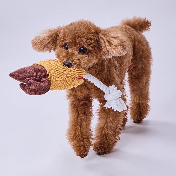 犬用おもちゃ モコモコシャカシャカロープTOY エビ天 | ペティオ