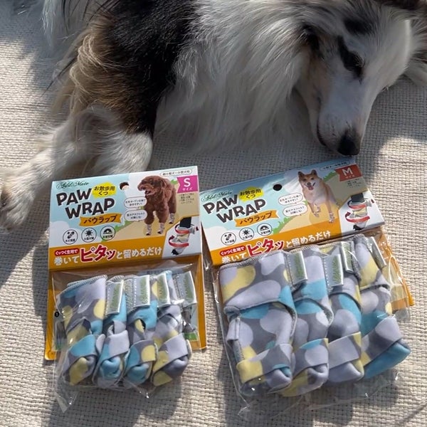 10%OFF！ひんやり特集】Add.Mate アドメイト 犬用くつ お散歩用