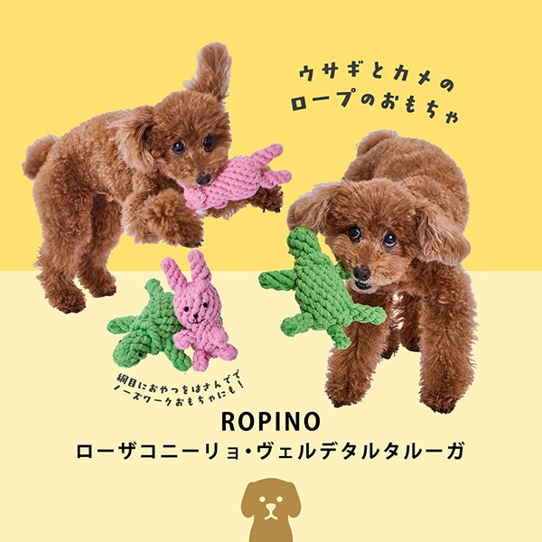 10%OFF！デンタルアイテム特集】Add.Mate アドメイト 犬用おもちゃ