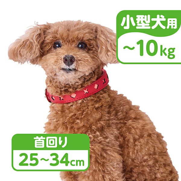 犬用首輪 反射クロスダイヤ 平首輪 21mm ブルー | ペティオ オンライン