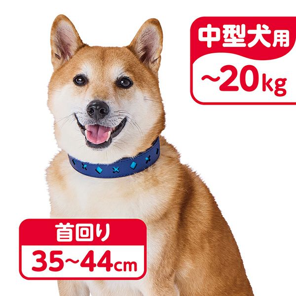 商品イメージ